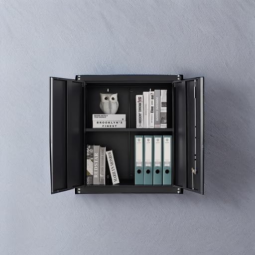 Wall Mount Lockable Metal Garage Cabinet